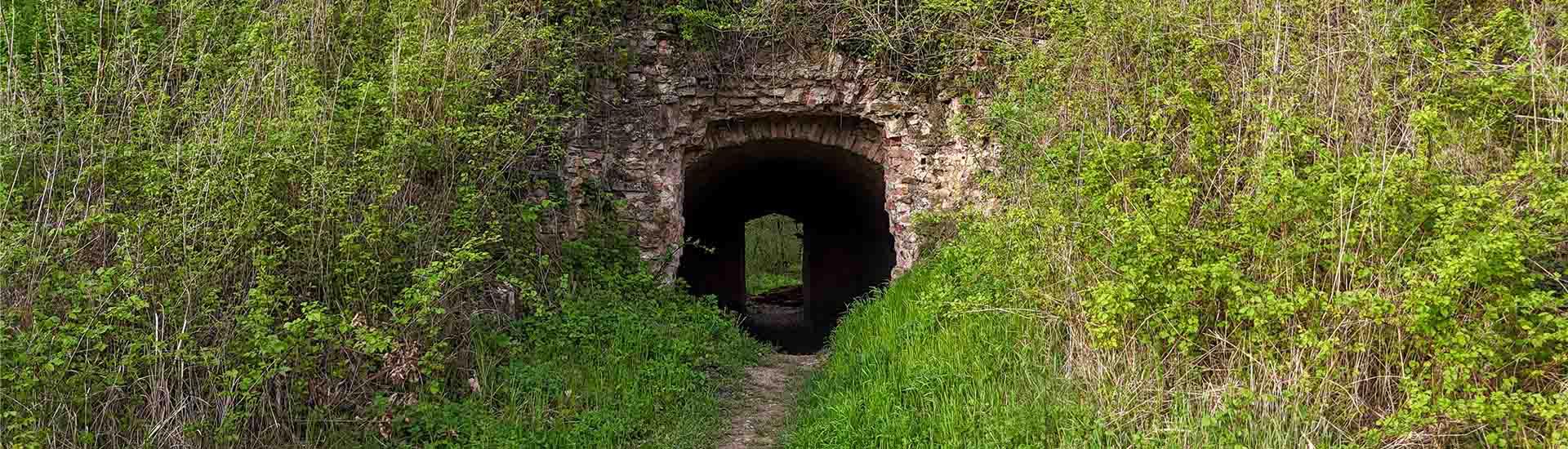 Fortification de fort-louis