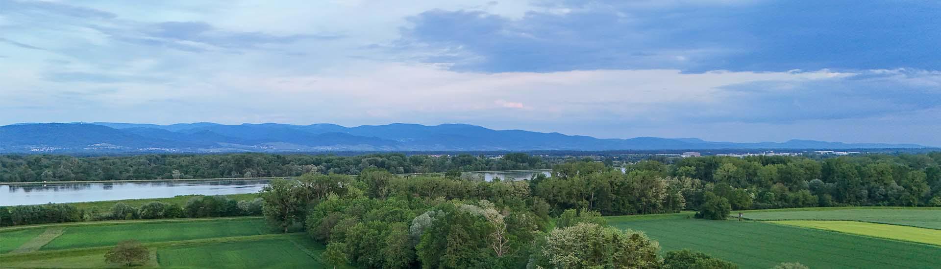Le Rhin côté Neuhaeusel